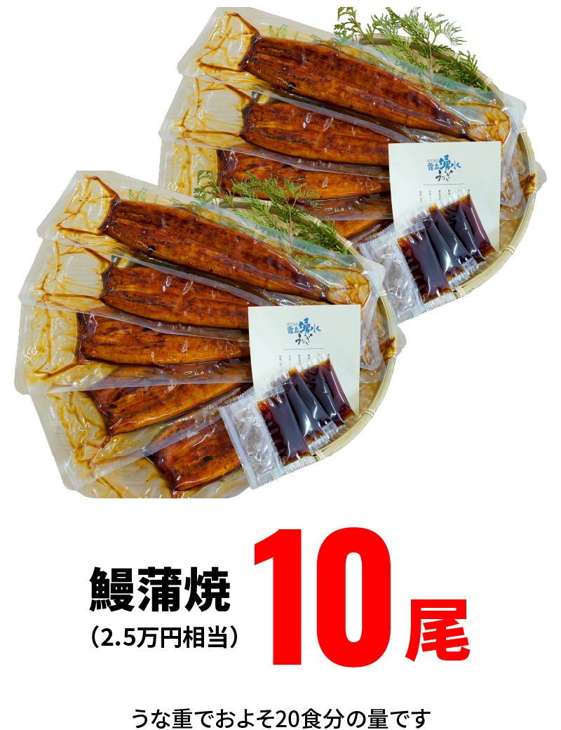 鰻蒲焼（2.5万円相当）10尾［うな重でおよそ20食分の量です］