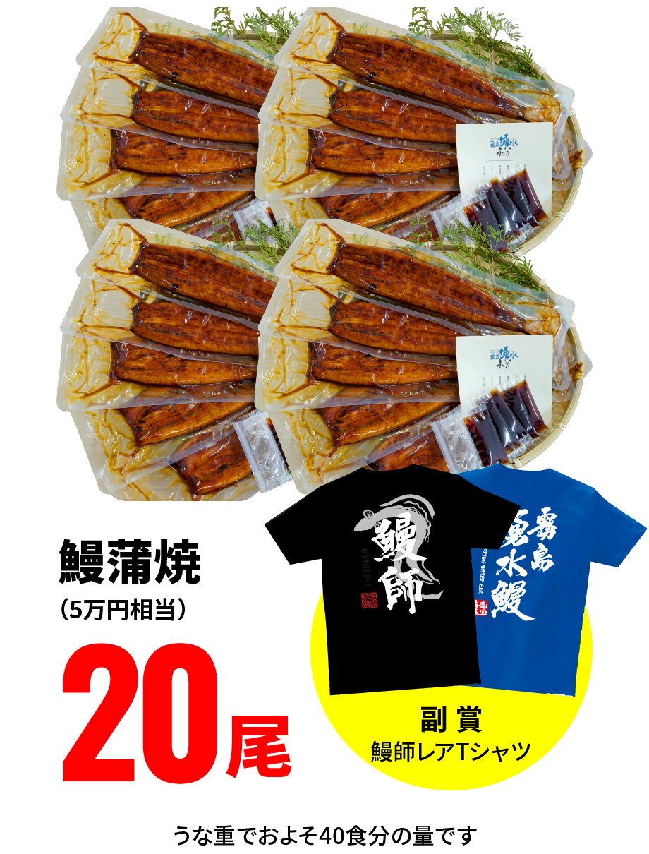 鰻蒲焼（5万円相当）20尾［副賞：鰻師レアTシャツ］うな重でおよそ40食分の量です